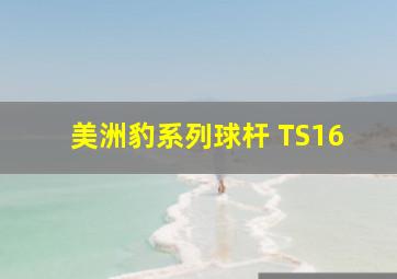 美洲豹系列球杆 TS16